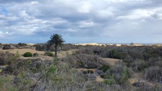 2023-GC--Mapalomas dunas-S123-063.jpg